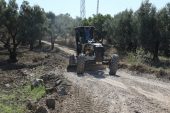 Gemlik’te tarımın yolu açık