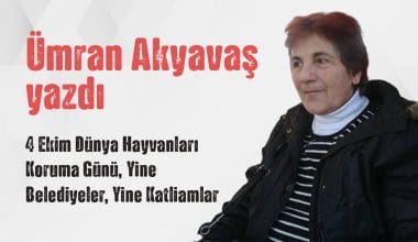 “4 Ekim Dünya Hayvanları Koruma Günü, Yine Belediyeler, Yine Katliamlar” Ümran Akyavaş Yazdı