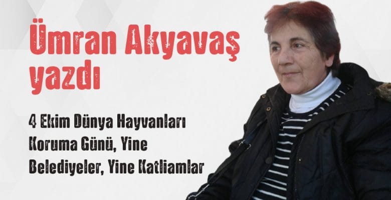“4 Ekim Dünya Hayvanları Koruma Günü, Yine Belediyeler, Yine Katliamlar” Ümran Akyavaş Yazdı