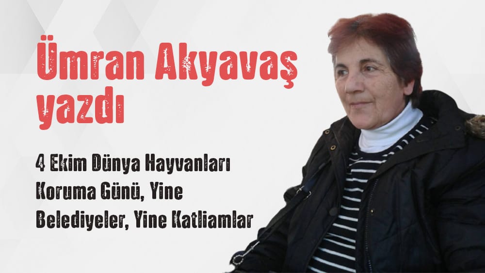 “4 Ekim Dünya Hayvanları Koruma Günü, Yine Belediyeler, Yine Katliamlar” Ümran Akyavaş Yazdı
