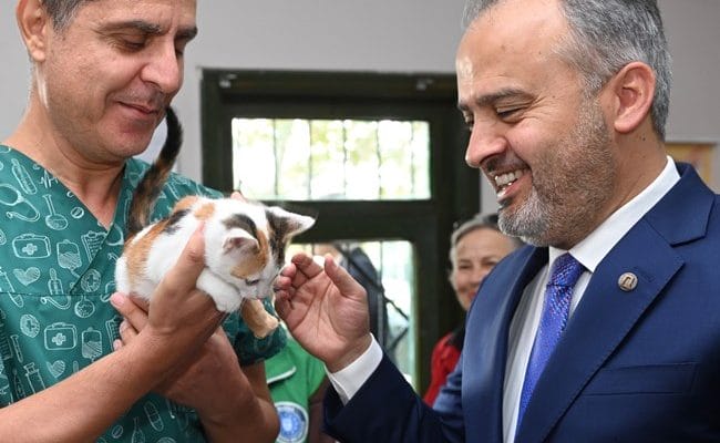 Hayat birlikte daha güzel