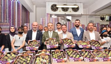 Büyükşehir, üreticiye can suyu oldu