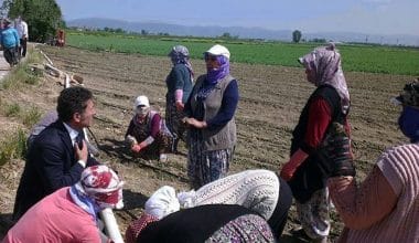 Sarıbal: Sömürü çarkının dişlileri kadın çiftçileri eziyor