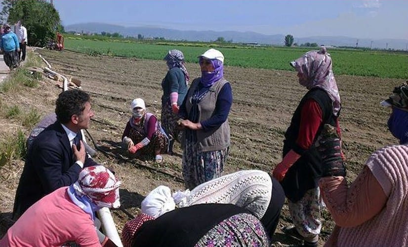 Sarıbal: Sömürü çarkının dişlileri kadın çiftçileri eziyor