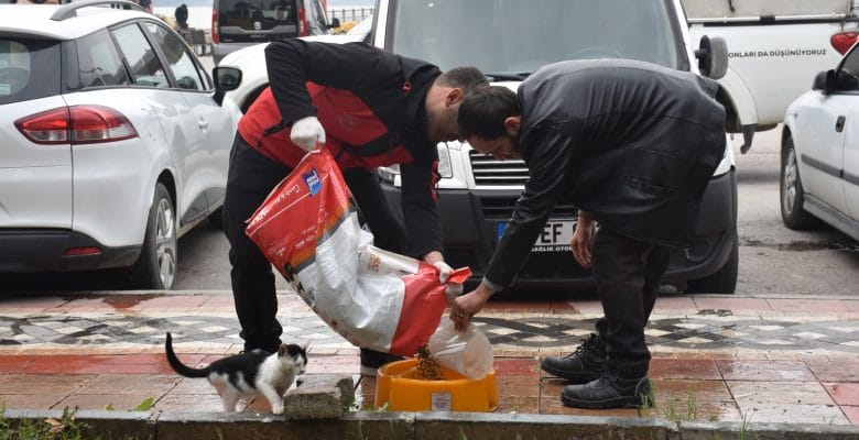 Sokaktaki canlar mamaya kolayca ulaşıyor