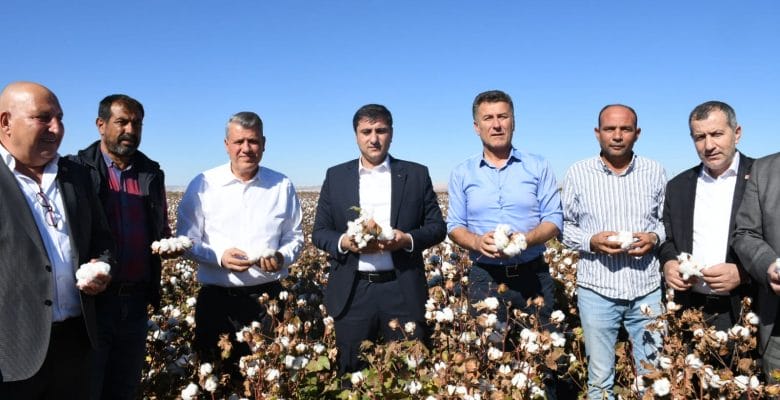 “Beyaz altın üreticiye kefen oldu”