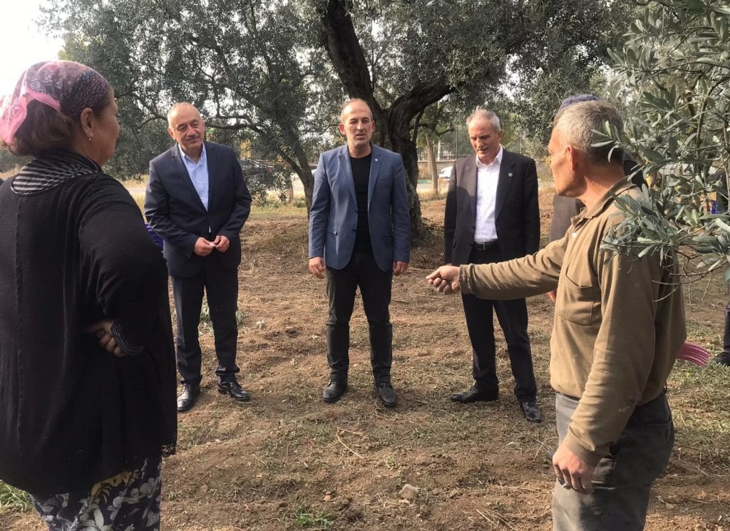 TATLIOĞLU; “Zeytin Üreticilerinin Derdine Derman Olacağız!”