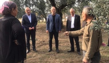 TATLIOĞLU; “Zeytin Üreticilerinin Derdine Derman Olacağız!”