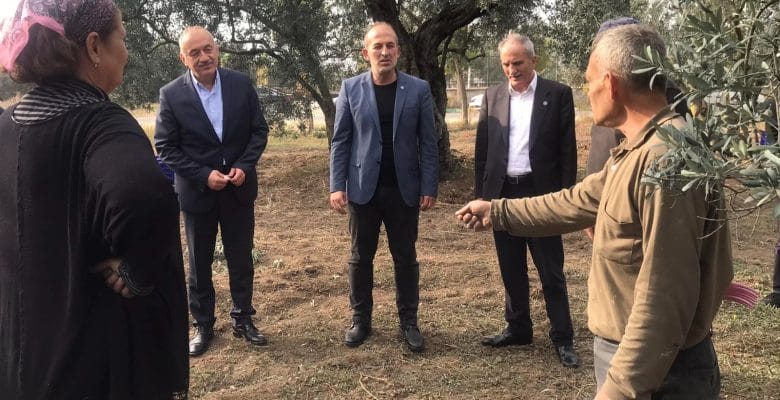 TATLIOĞLU; “Zeytin Üreticilerinin Derdine Derman Olacağız!”