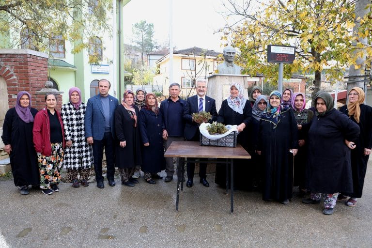 Nilüfer Belediyesinden kadın üreticilere 100 bin çilek fidesi