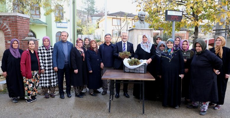 Nilüfer Belediyesinden kadın üreticilere 100 bin çilek fidesi