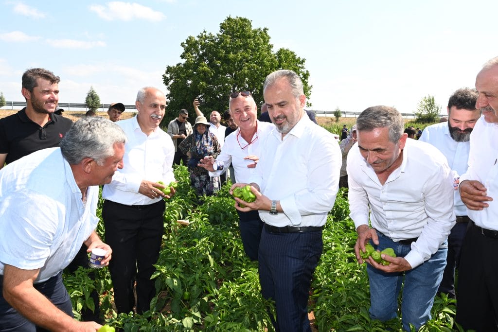 Yenişehir Biberi’ne de tescil belgesi