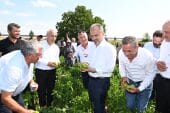 Yenişehir Biberi’ne de tescil belgesi