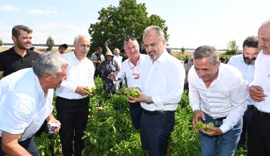 Yenişehir Biberi’ne de tescil belgesi