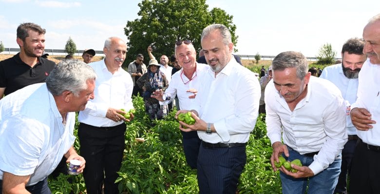 Yenişehir Biberi’ne de tescil belgesi