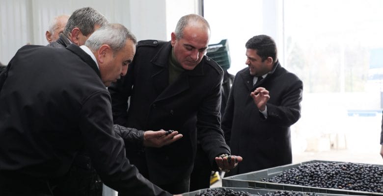 Gemlik Belediyesinden bilimsel tarım hamlesi