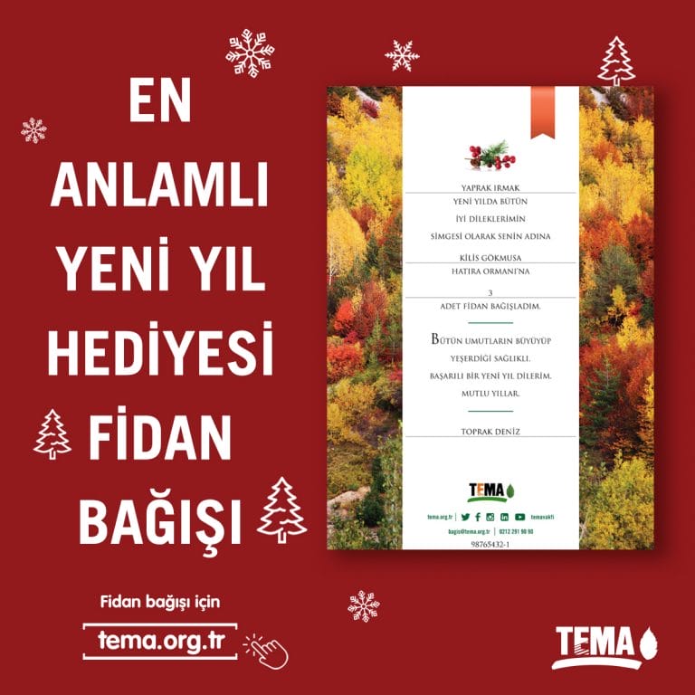 TEMA Vakfı: En Anlamlı Yeni Yıl Hediyesi Fidan Bağışı