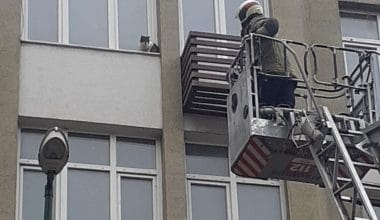 Heykel İnönü Caddesinde Kedi Kurtarma Operasyonu