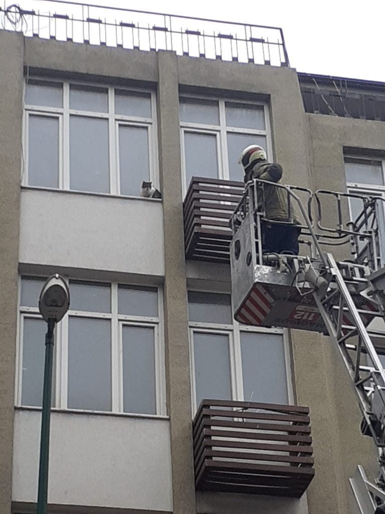 Heykel İnönü Caddesinde Kedi Kurtarma Operasyonu