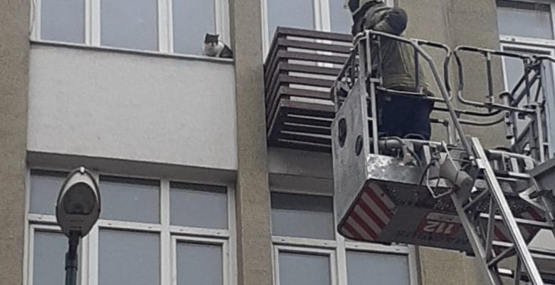 Heykel İnönü Caddesinde Kedi Kurtarma Operasyonu