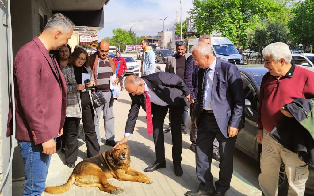 İYİ Parti Adaylarından Gemlik Çıkarması