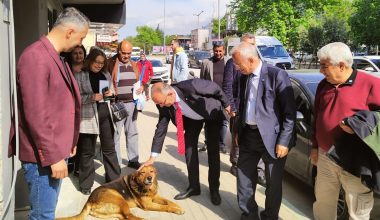 İYİ Parti Adaylarından Gemlik Çıkarması