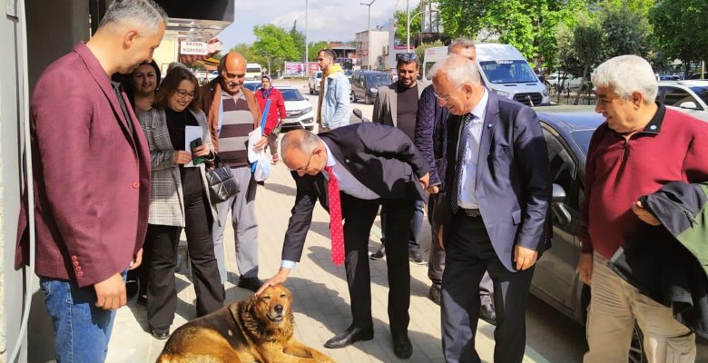 İYİ Parti Adaylarından Gemlik Çıkarması