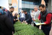 GEMLİK BELEDİYESİ’NDEN ORGANİK TARIMA DEV DESTEK