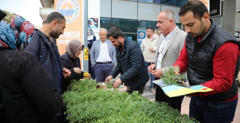 GEMLİK BELEDİYESİ’NDEN ORGANİK TARIMA DEV DESTEK