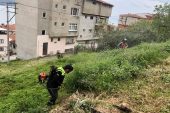 Gemlik’te bahar mesaisi