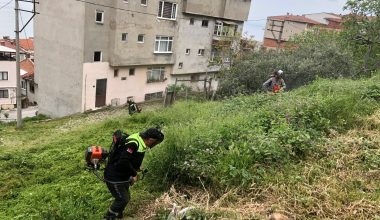 Gemlik’te bahar mesaisi Gemlik’te bahar mesaisi