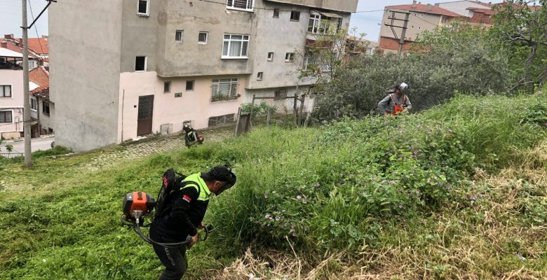 Gemlik’te bahar mesaisi