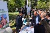 Gemlik’in tohumları Çanakkale’de