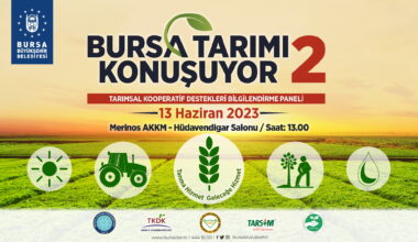 Bursa Tarımı Konuşuyor