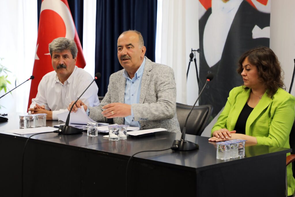 ÇAĞRIŞAN-GÖYNÜKLÜ VE BADEMLİ KÖY İÇİ İMAR PLANLARI ONAYLANDI