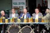 BAŞKAN ALEMDAR, “GEMLİK ZEYTİNİ AVRUPADA TESCİLLENDİ”