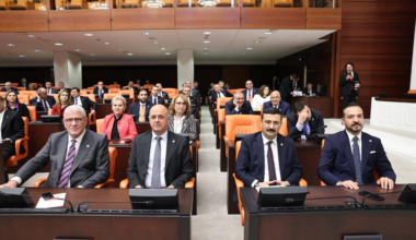TÜRKOĞLU, İNSAN HAKLARI İHTİSAS KOMISYONU’NA SEÇİLDİ