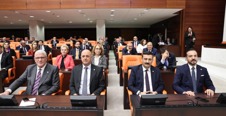TÜRKOĞLU, İNSAN HAKLARI İHTİSAS KOMISYONU’NA SEÇİLDİ