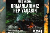 Bir kıvılcım geleceğimizi yakmasın,  ormanlarımız hep yaşasın!