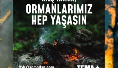 Bir kıvılcım geleceğimizi yakmasın, ormanlarımız hep yaşasın! Bir kıvılcım geleceğimizi yakmasın, ormanlarımız hep yaşasın!