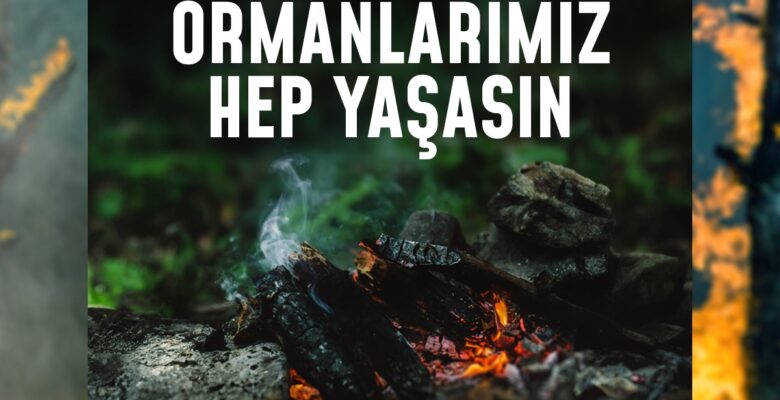 Bir kıvılcım geleceğimizi yakmasın,  ormanlarımız hep yaşasın!