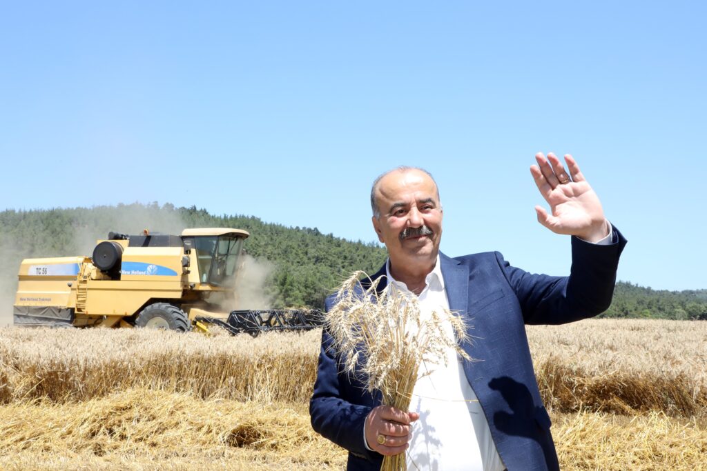 MUDANYA’DA BUĞDAY HASADI ZAMANI