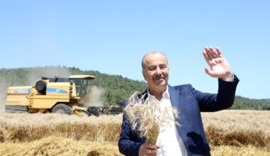 MUDANYA’DA BUĞDAY HASADI ZAMANI MUDANYA’DA BUĞDAY HASADI ZAMANI