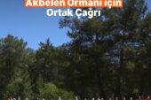 Akbelen Ormanı’nın korunması için  sivil toplum kuruluşlarından ortak çağrı!