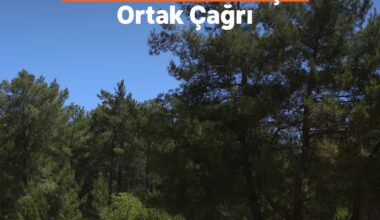 Akbelen Ormanı’nın korunması için  sivil toplum kuruluşlarından ortak çağrı!