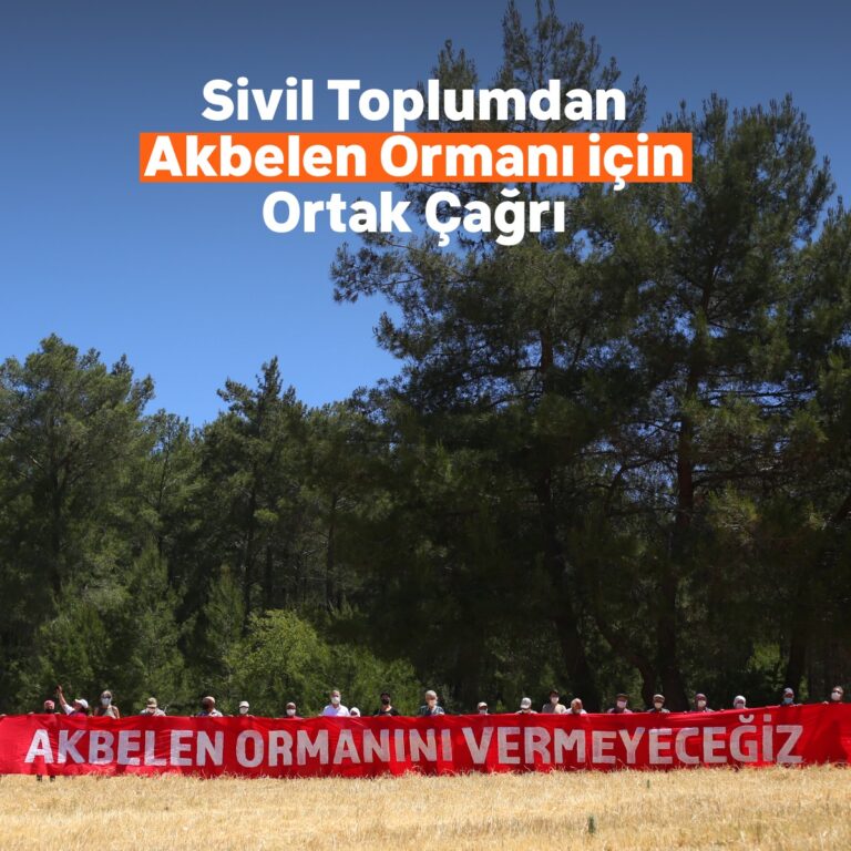 Akbelen Ormanı’nın korunması için  sivil toplum kuruluşlarından ortak çağrı!
