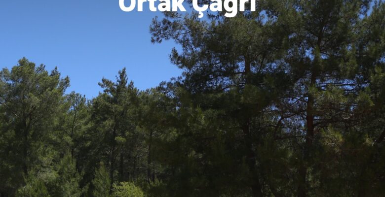 Akbelen Ormanı’nın korunması için  sivil toplum kuruluşlarından ortak çağrı!