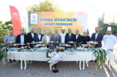 Bursa’nın ‘Siyah incisi’nde hasat başladı