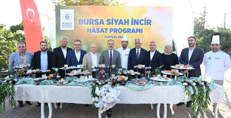 Bursa’nın ‘Siyah incisi’nde hasat başladı