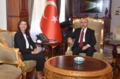 BUİKAD’DAN VALİ DEMİRTAŞ’A ZİYARET